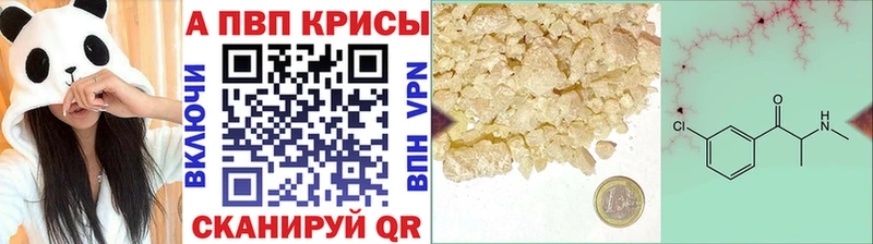 дарк нет официальный сайт  Пущино  A PVP СК КРИС  блэк спрут как зайти 