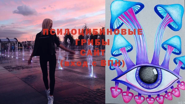 тгк Переславль-Залесский