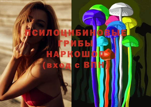 стафф Пересвет