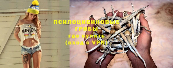 стафф Пересвет