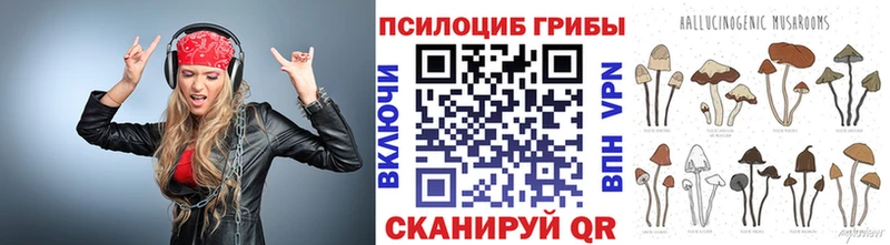 сайты даркнета формула Пущино Псилоцибиновые грибы Psilocybe закладки